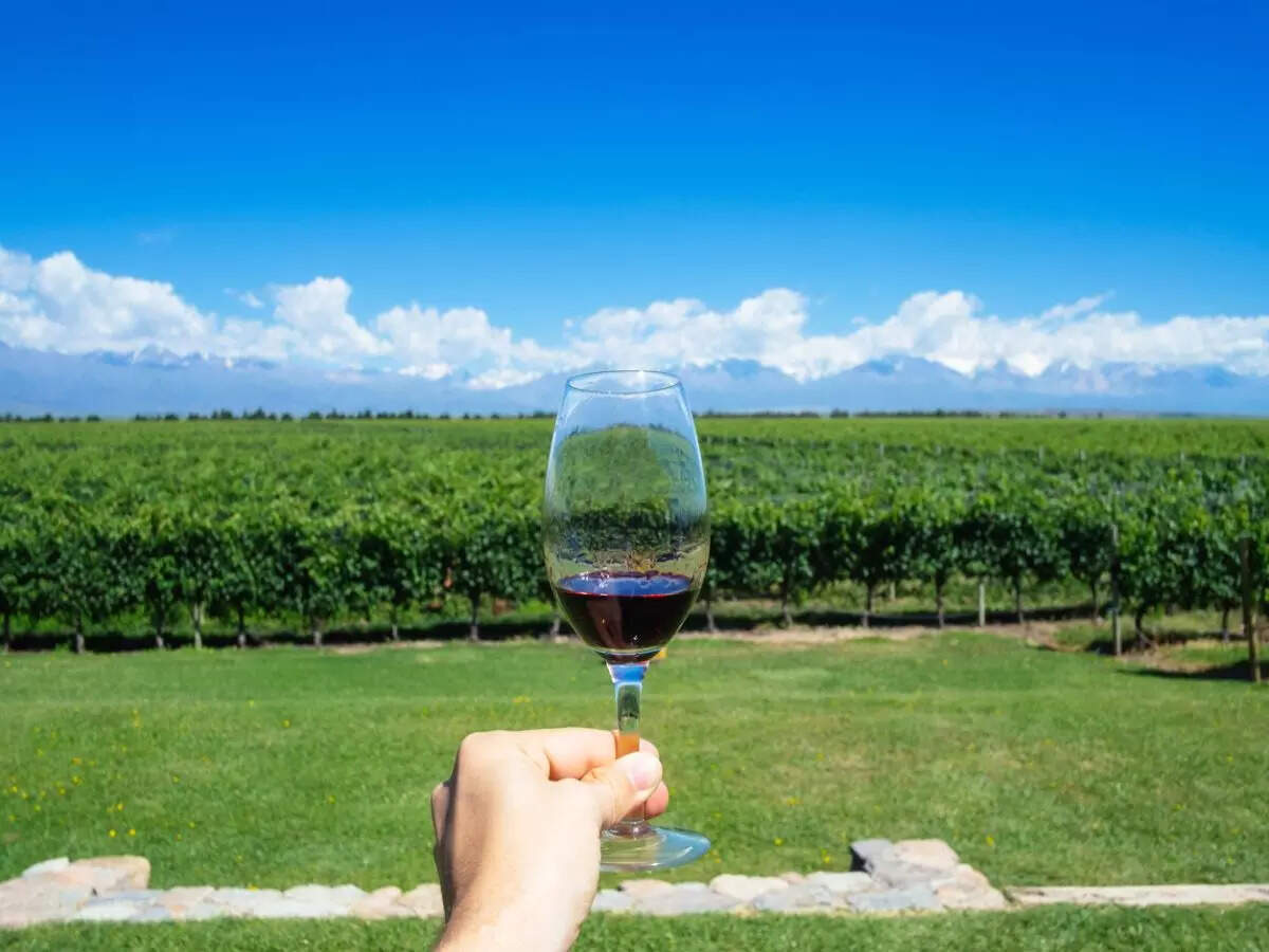 wine