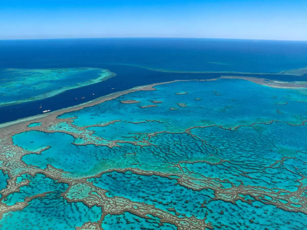 Great Barrier Reef in Queensland, Australia