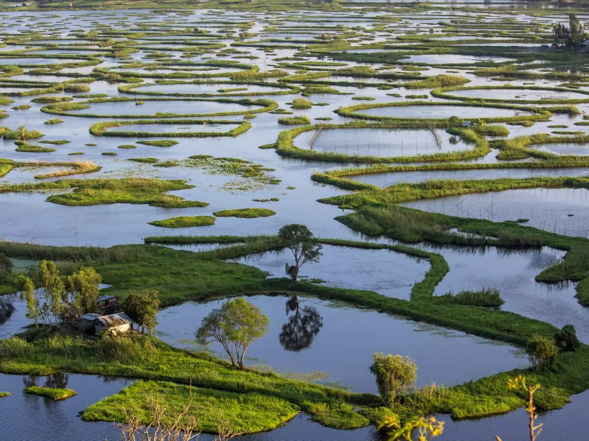 Loktak Lake, Manipur
