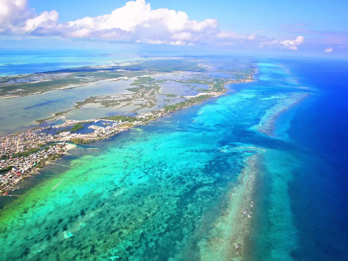 Belize reef