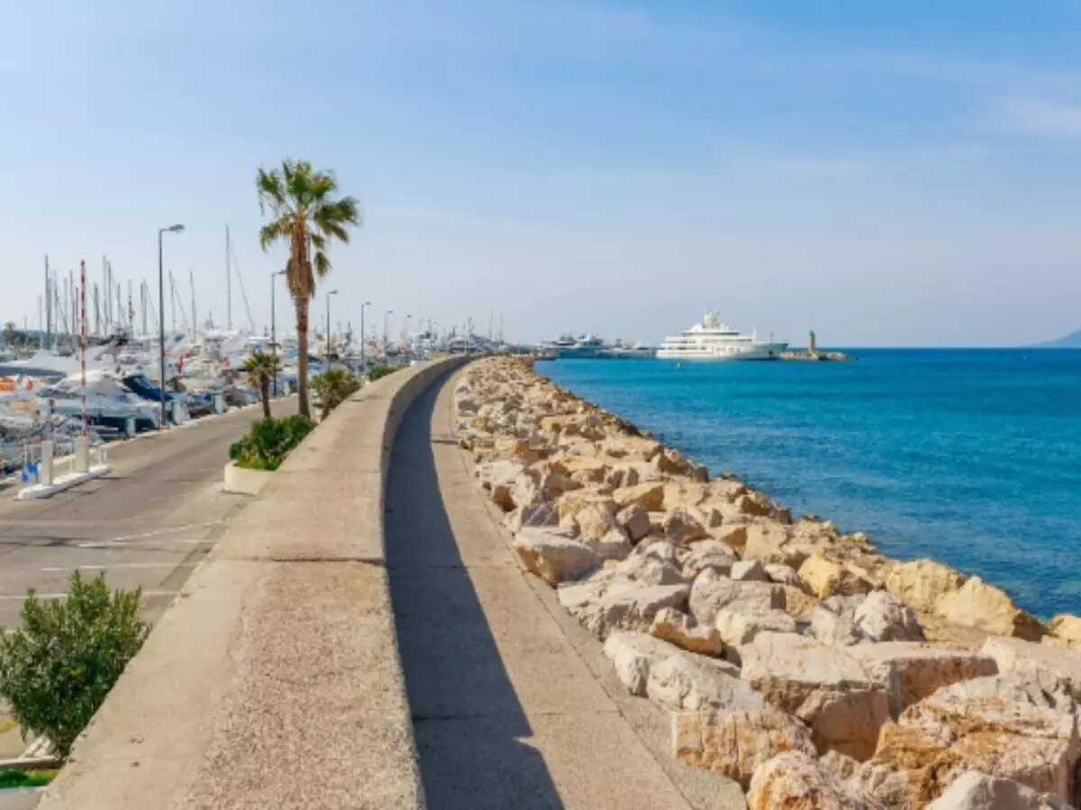 Promenade de la Croisette in Cannes Promenade de la Croisette in Cannes