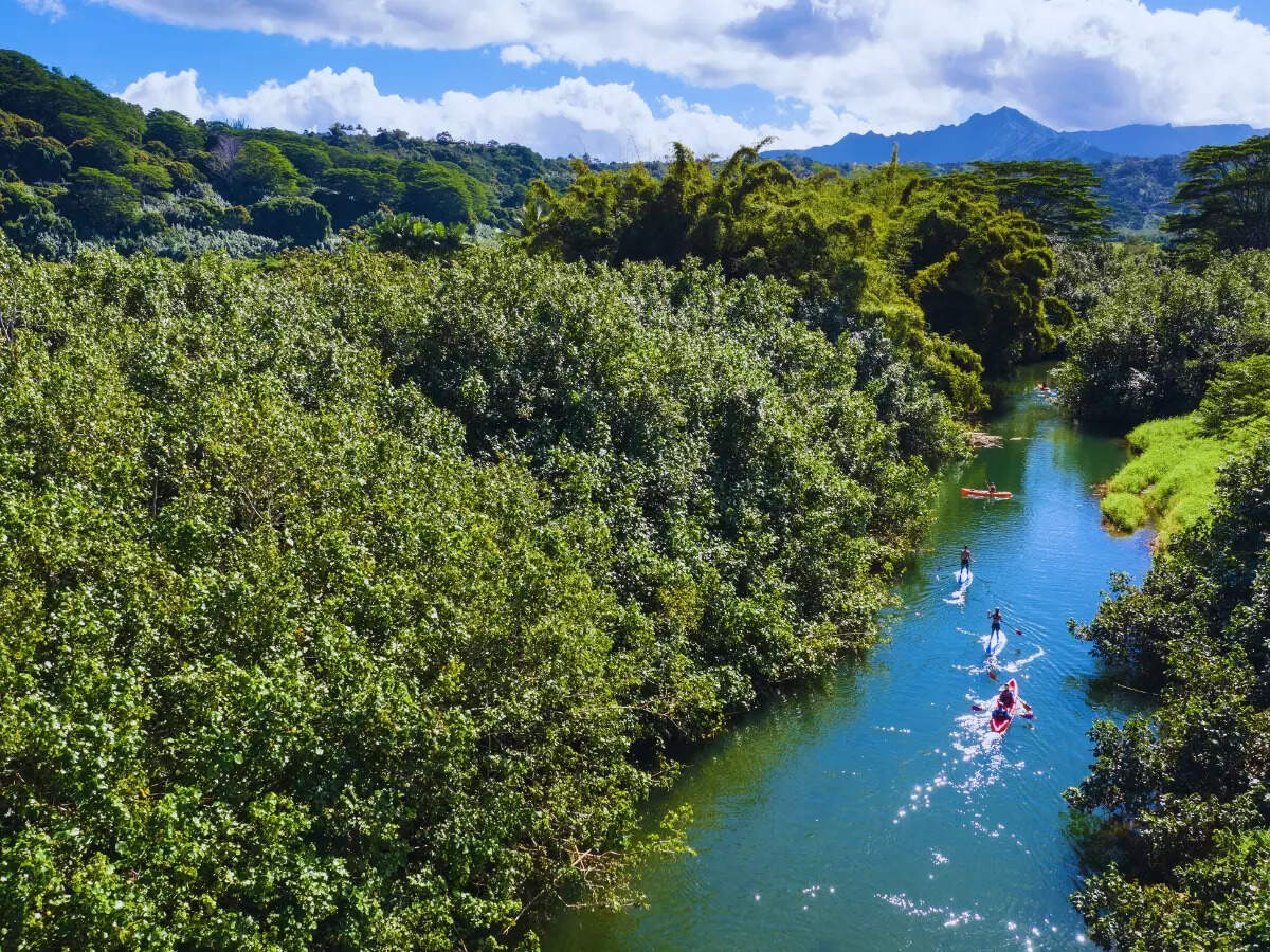 Kayaking and paddleboarding in Hanalei Bay, Kauai