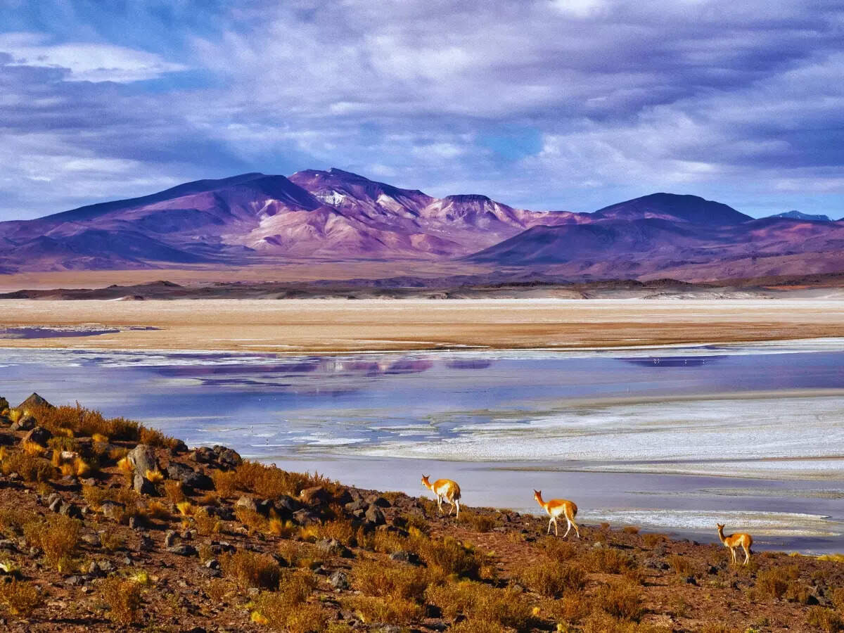 Atacama Desert landscape Atacama Desert landscape