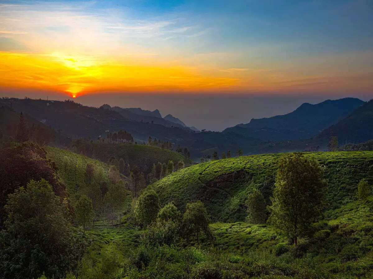 Ooty