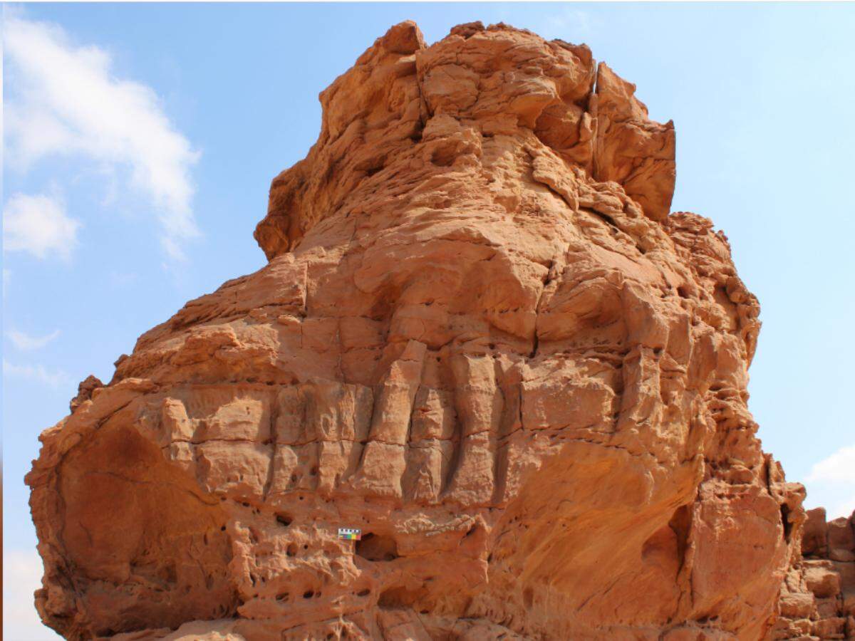 stone camels