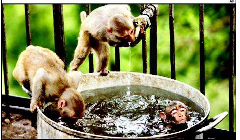 Heat wave in India