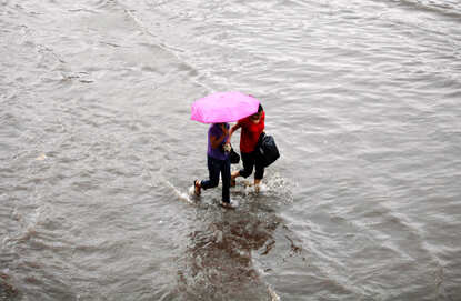 Monsoon flavour