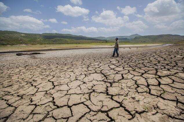 Why have IPL ties in  Rajasthan where water situation is bad, asks High Court