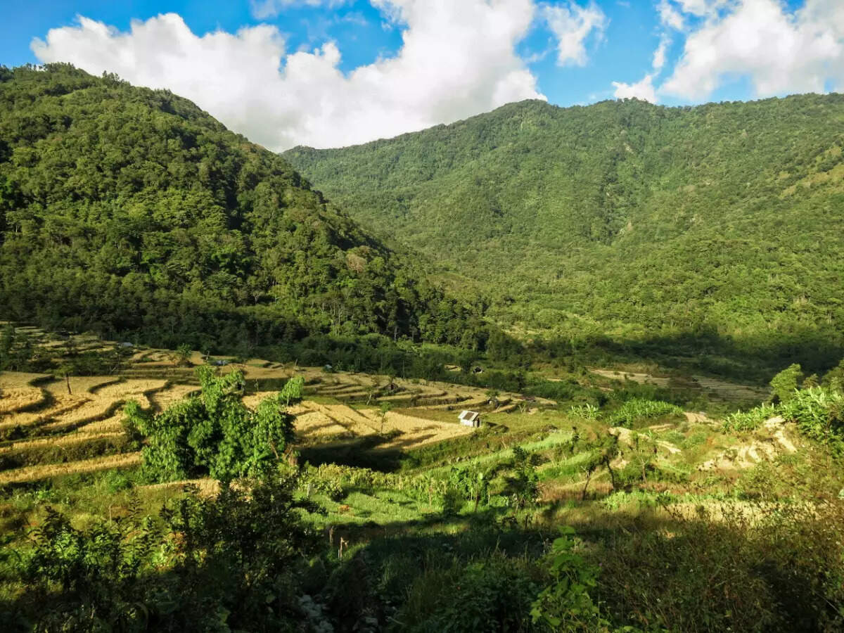 Khonoma green village
