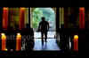 Vedi  - New trailer