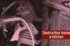 Bhatta Parsaul rape case: FIR against 16 PAC jawans
