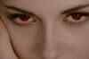 The Twilight Saga: Breaking Dawn Part 2