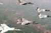 Pak changes stance on airspace violation