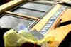 Six kids killed in Punjab bus accident