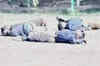 8 serial blasts rock Pakistan