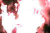 Four killed in fire in Chandigarh market