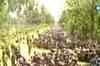 Operation almost over: Lankan army