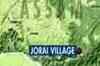 Militants set ablaze ten houses in Assam