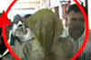 Surat rape accused to be tried in fast track court