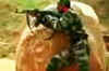 Exclusive: Policemen trained in guerilla warfare