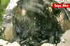 Despite ban, Maoists strike in Gaya