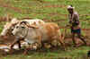 Agriculture development fund increased to Rs.3.25 lakh crore