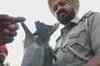 Pak terrorists fire rockets at Punjab border villages