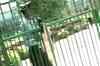 Swine flu panic: Delhi's Modern School shuts