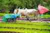 ET Now: Monsoon deficit widens, drought looms