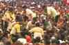 Swine flu shadow: Low key Janmashtami expected