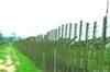Jammu: BSF foils infiltration bid, firing across border