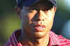 I've let my family down, says Tiger Woods