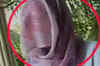 Goa rape case: Victim demands justice