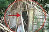 Bangalore bomber's hideout busted in Karnataka