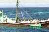 Coast Guard rescues crew of drowning dhow