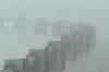 Thick fog blankets Delhi and adjoining areas