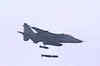 Watch: IAF's first day-night fire power show