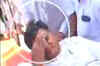Ruckus in Rajasthan assembly, MLAs injured