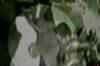 CCTV footage of Indian shot dead in US