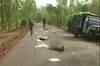 Maoists kill four CPM workers in West Bengal