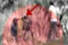 WB: Journalists brutally beaten up by CRPF jawans