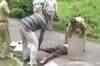 Induwar abductor arrested in Ranchi