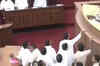 Legislators create ruckus in Orissa assembly