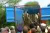Patiala: Farmers block traffic, demand compensation