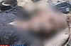 Infiltration bid foiled in Kashmir, one killed