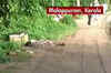 Seven die in hooch tragedy in Kerala