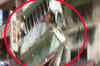 Two buildings collapse in Ajmer, no one injured