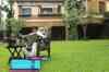 Spotted: Big B relaxing in his lawn