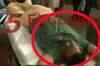 Andhra Pradesh: Local don Suri shot dead