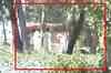 First visuals: Osama's mansion in Abbottabad
